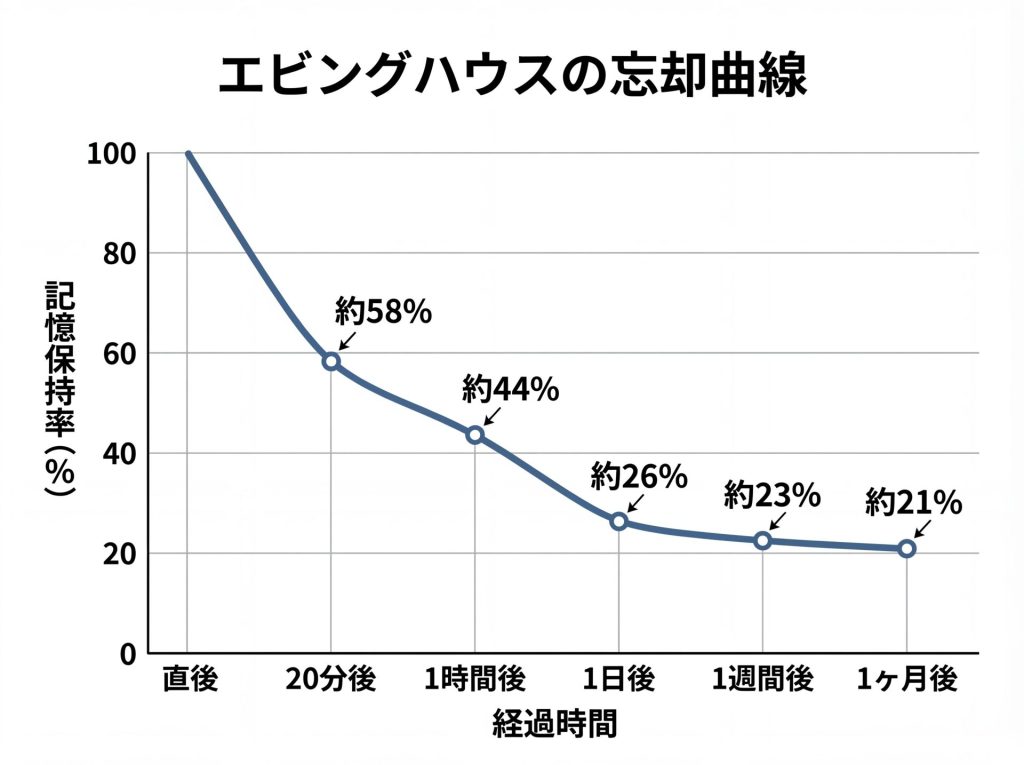 エビングハウスの忘却曲線を現した図